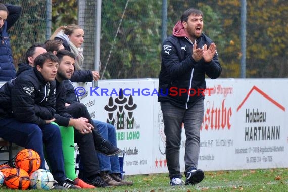 Landesliga Rhein Neckar TSV Michelfeld vs ASV/DJK Eppelheim  (© Siegfried)